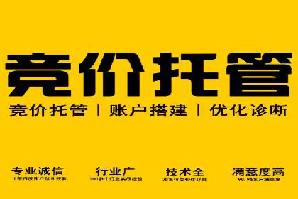 SEM广告投放的竞价策略与效果评估案例